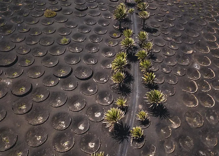 Aiolos 20 Holiday home Puerto Calero